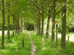 Landgoed Bellinckhof